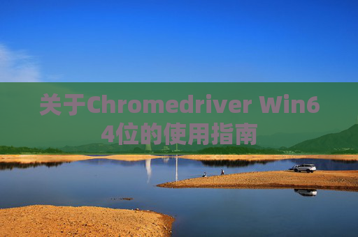 关于Chromedriver Win64位的使用指南